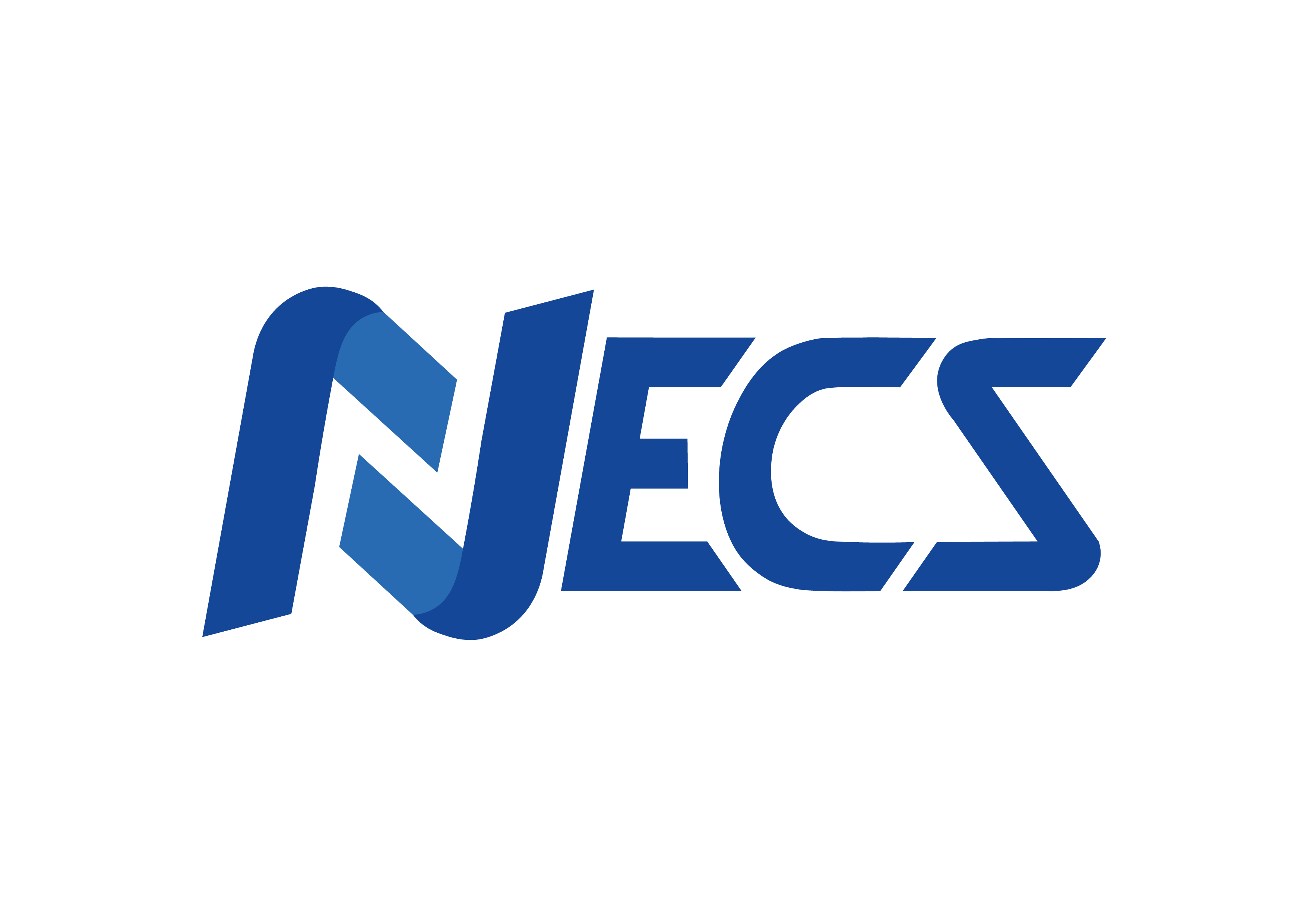 NECS REPRESENTANTES DE IMPORTACIONES EIRL